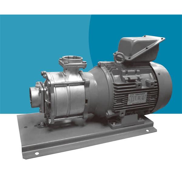 TERAL中～大流量/中揚(yáng)程冷卻泵LPS653/2A-57.5T-e