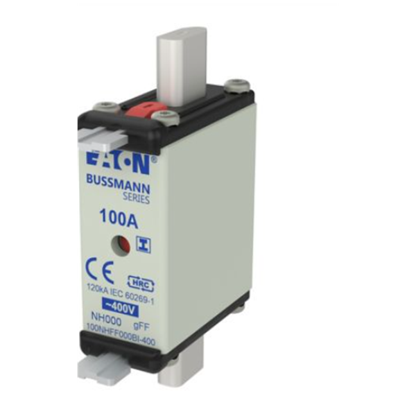 EATON伊頓Bussmann系列快速圓帽式熔斷器 FWX-4A14F